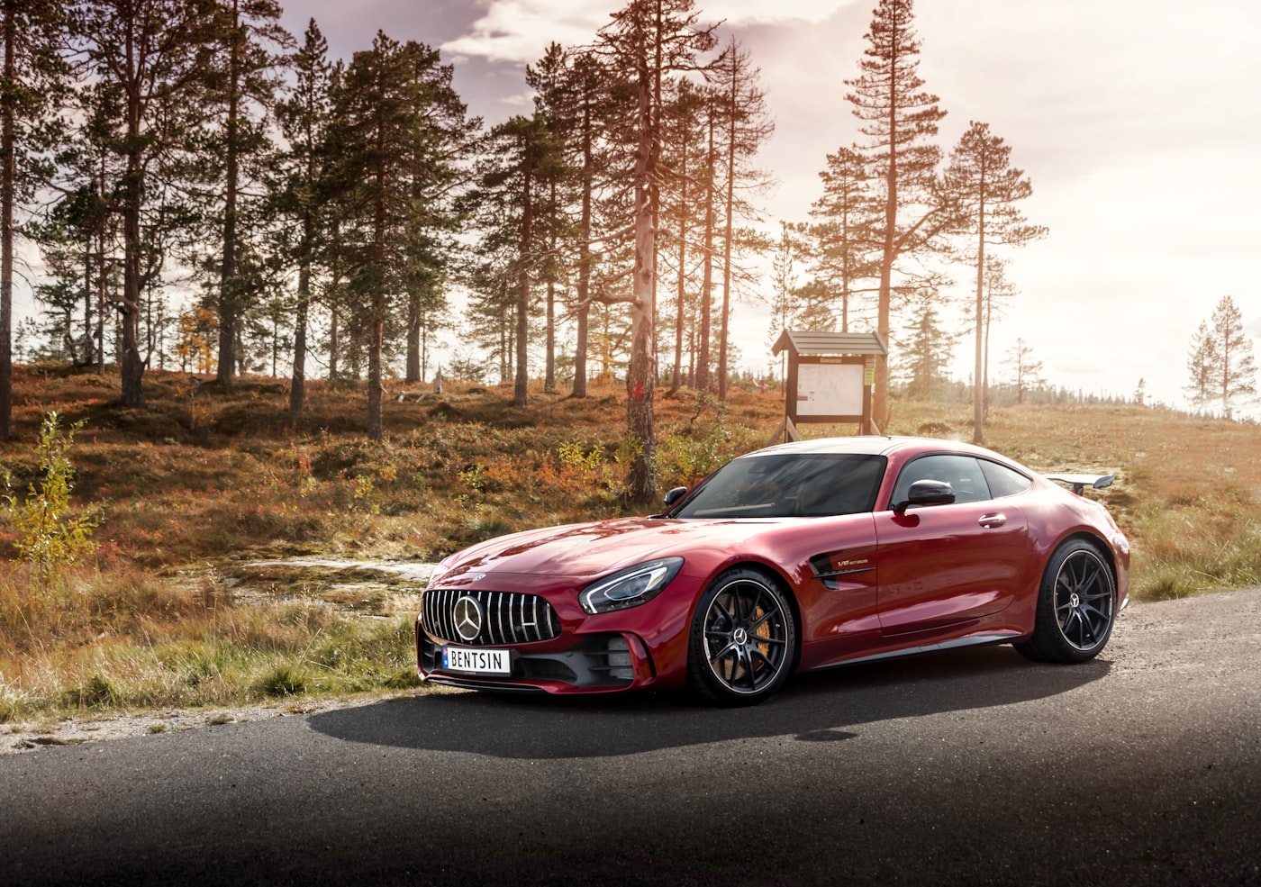 Luxury driving experience